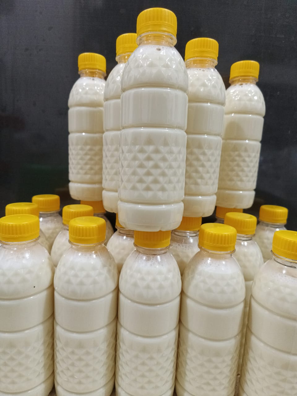 Susukacang segar merek photo dengan jumlah yang banyak